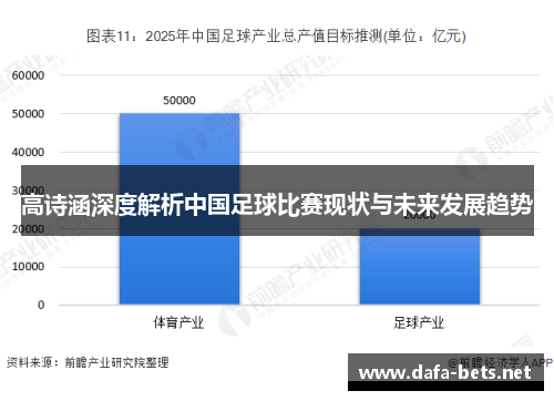 高诗涵深度解析中国足球比赛现状与未来发展趋势